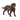 Labrador Retriever, femelle
