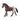 Appaloosa merrie