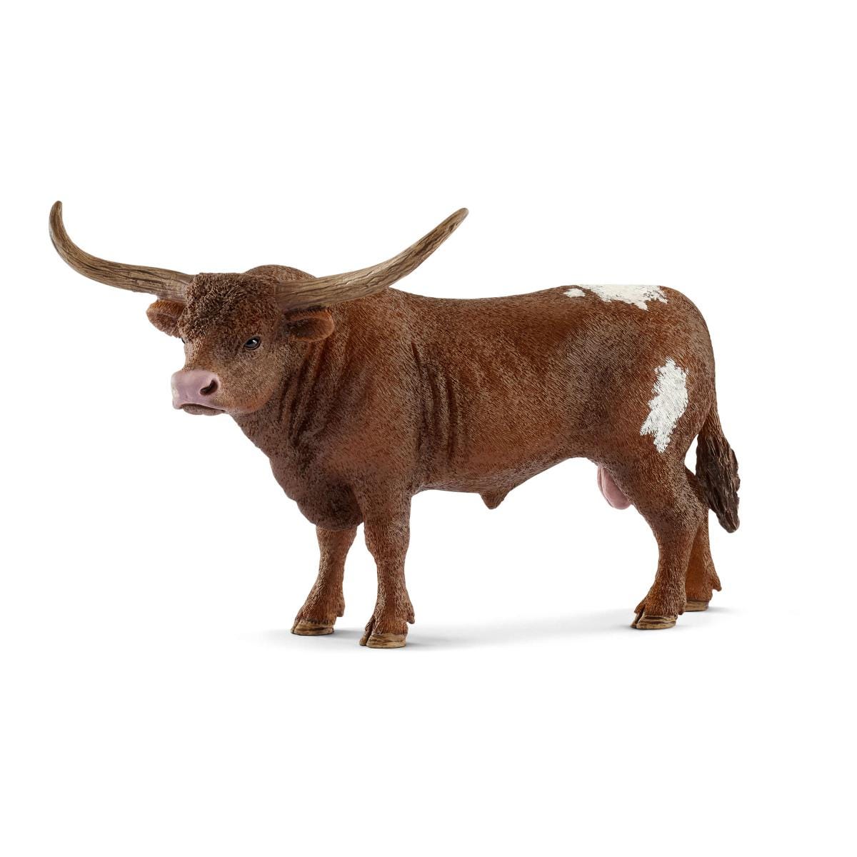 Texas Longhorn stier