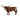 Texas Longhorn stier
