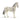 Knabstrupper mare