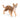 Chat Bengal
