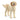 Chien Goldendoodle