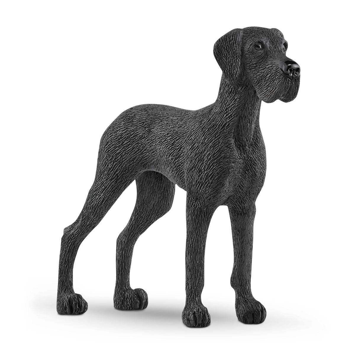 Dogue Allemand