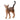 Chat Abyssin