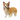 Chien Welsh Corgi