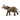 Éléphant d'Afrique mâle