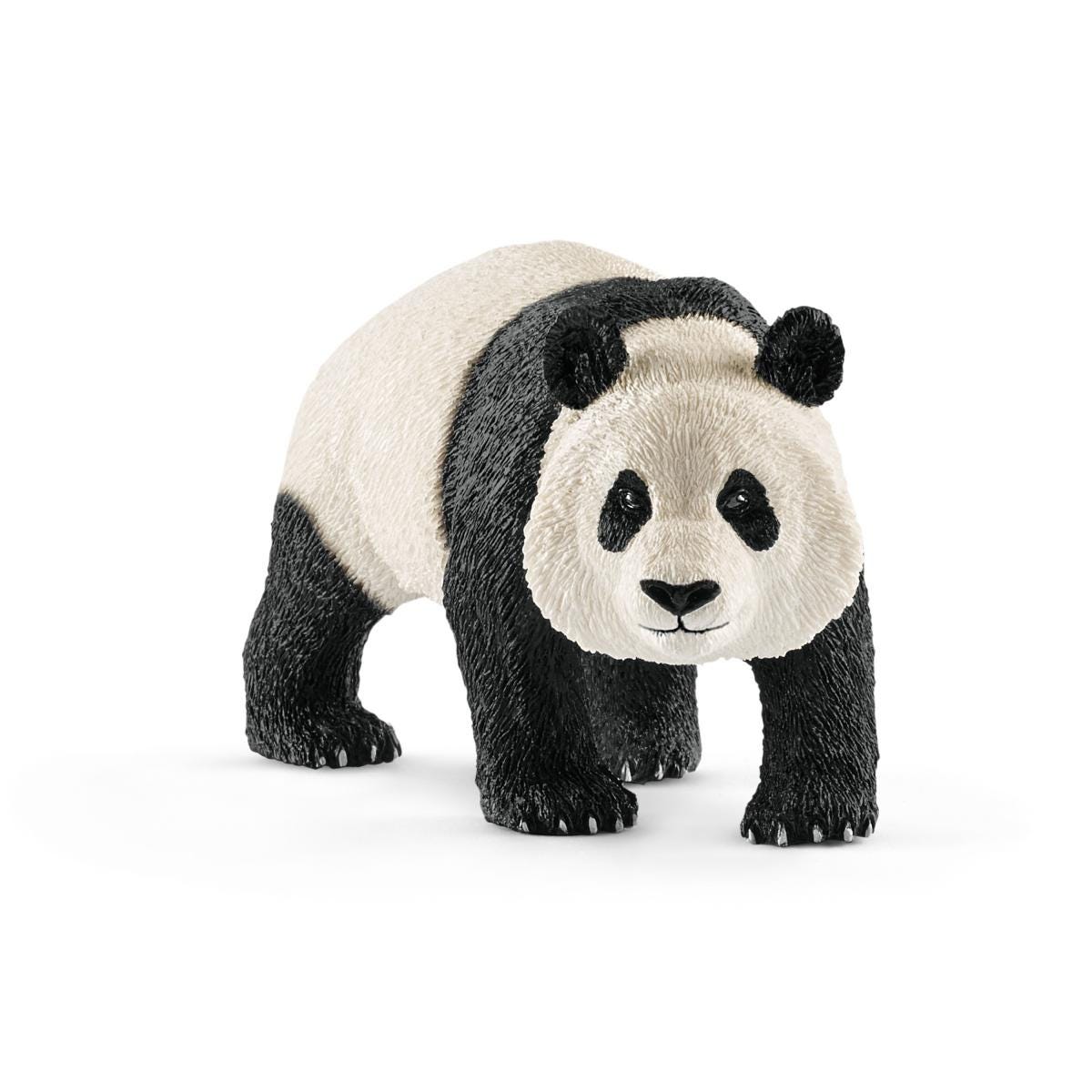 Grote panda