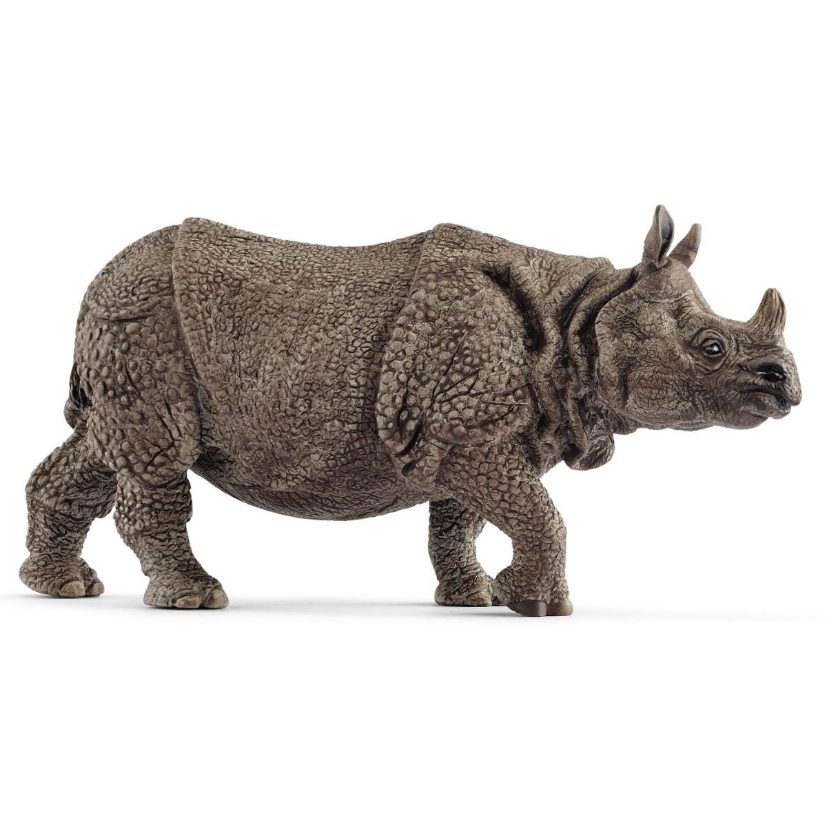 Indische neushoorn