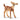 White-tailed fawn