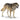 Loup
