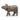 Bébé Rhinocéros Indien