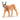 Femelle Caracal 