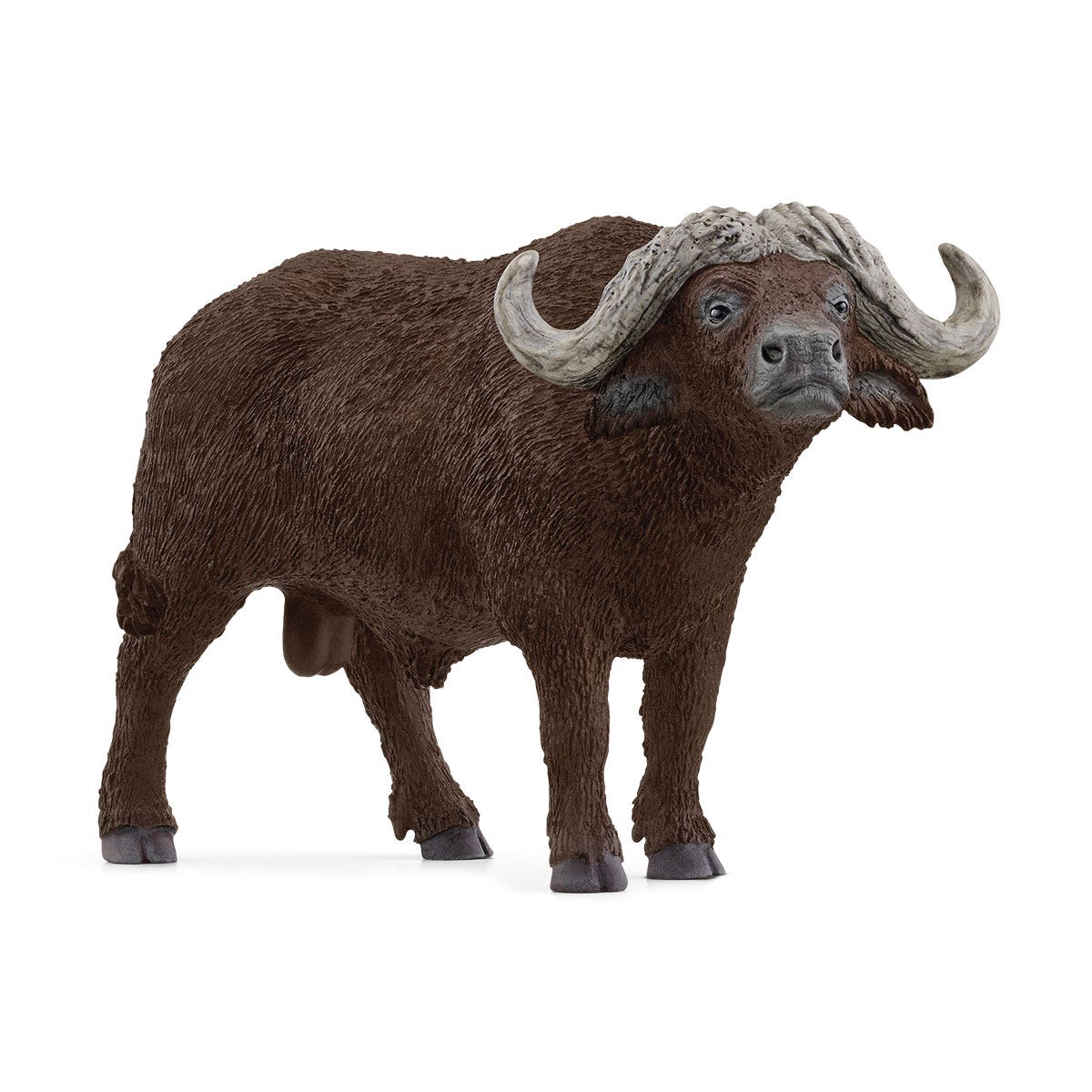Kafferbuffel