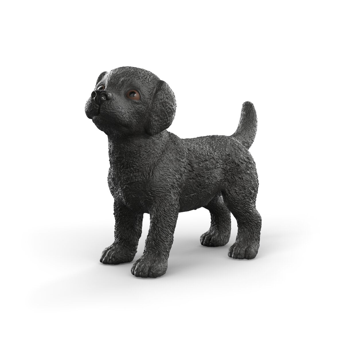 Zwarte Labrador Retriever pup