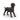Zwarte Labrador-retriever teef
