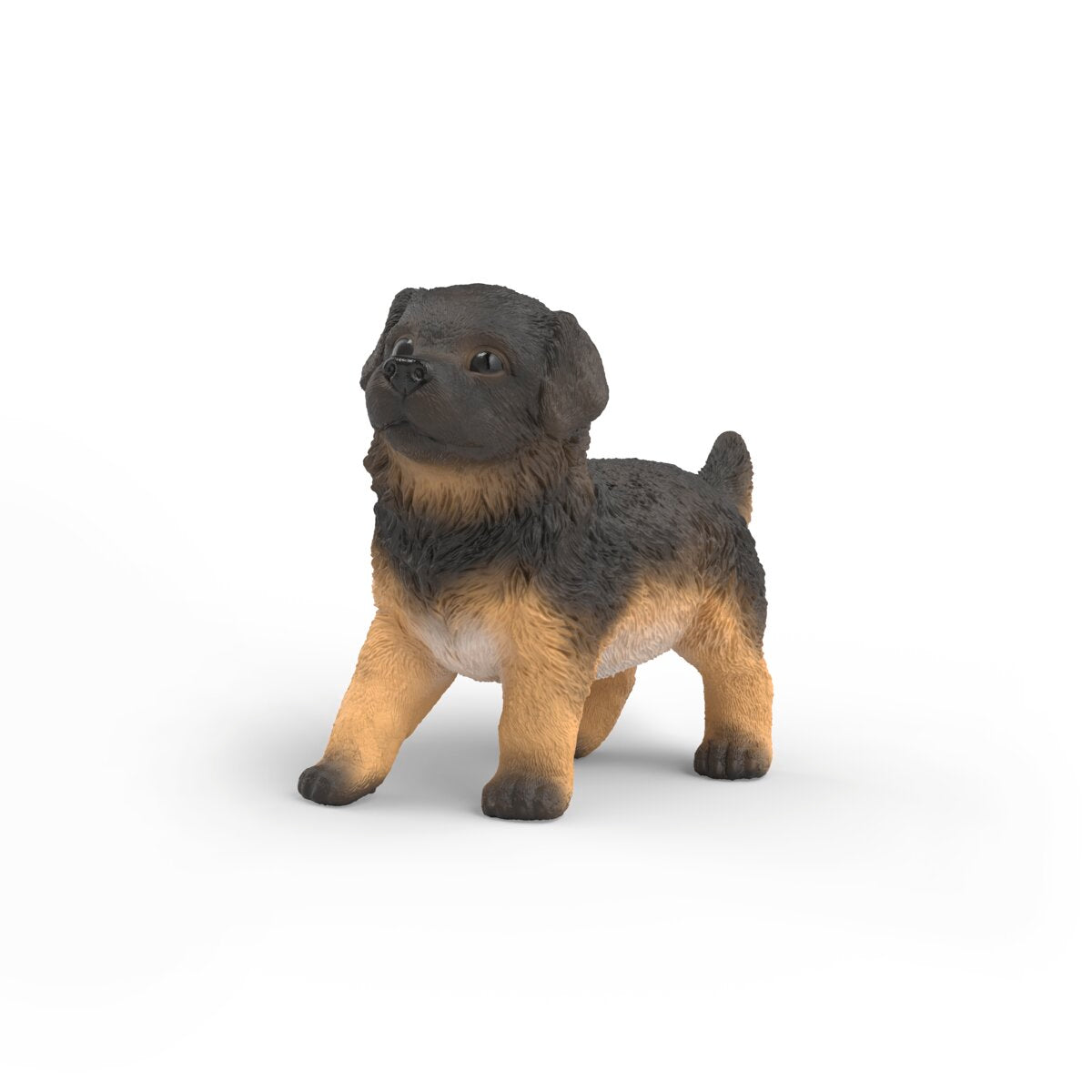 Duitse herder pup