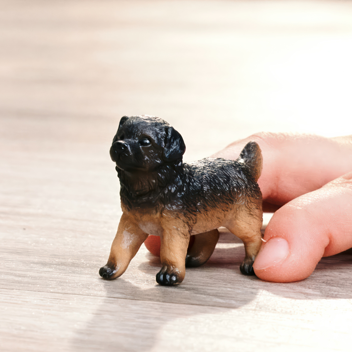 Duitse herder pup