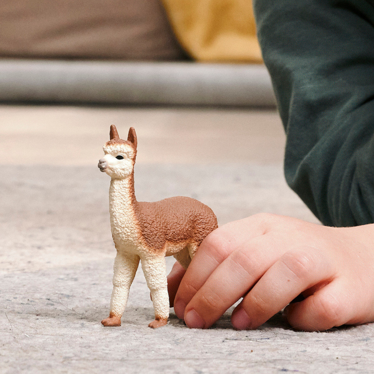 Alpaca