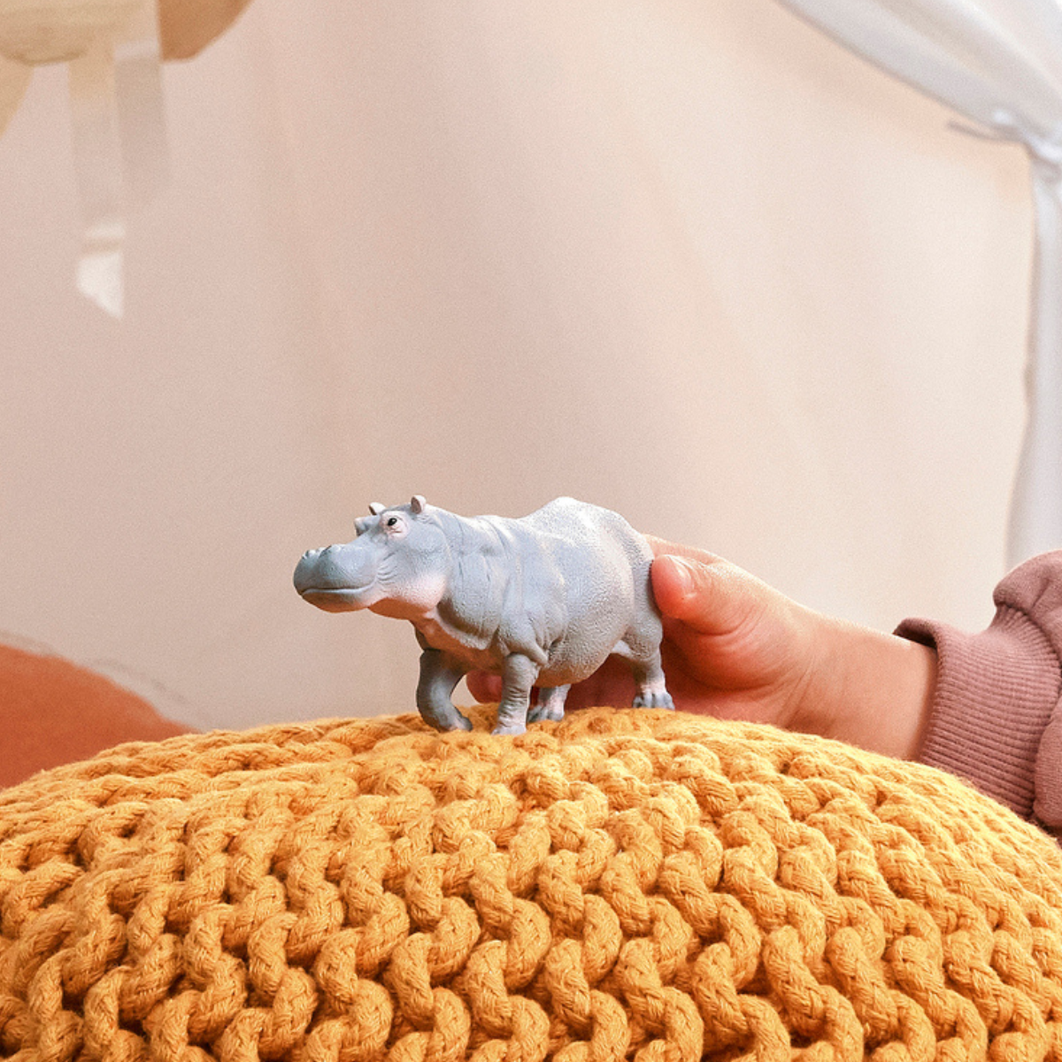 Hippopotame