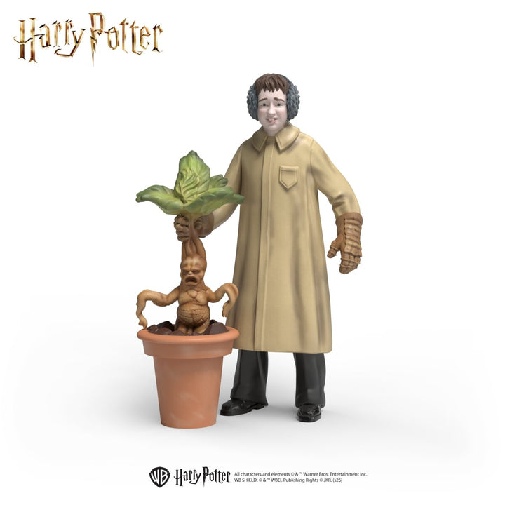 Marcel met mandragora
