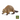 Bever