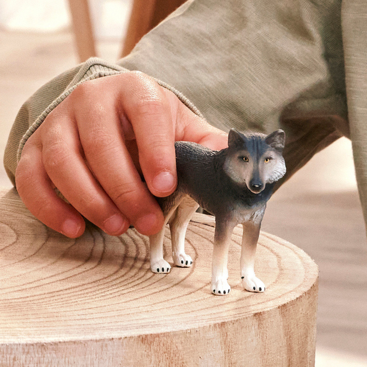 Loup américain