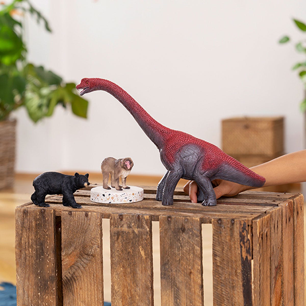 Brachiosaure