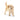 Chiot Golden Retriever