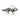Loup des neiges