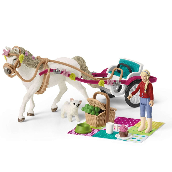 Koets voor paardenshow