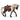 Rocky Mountain Horse merrie paardenshow