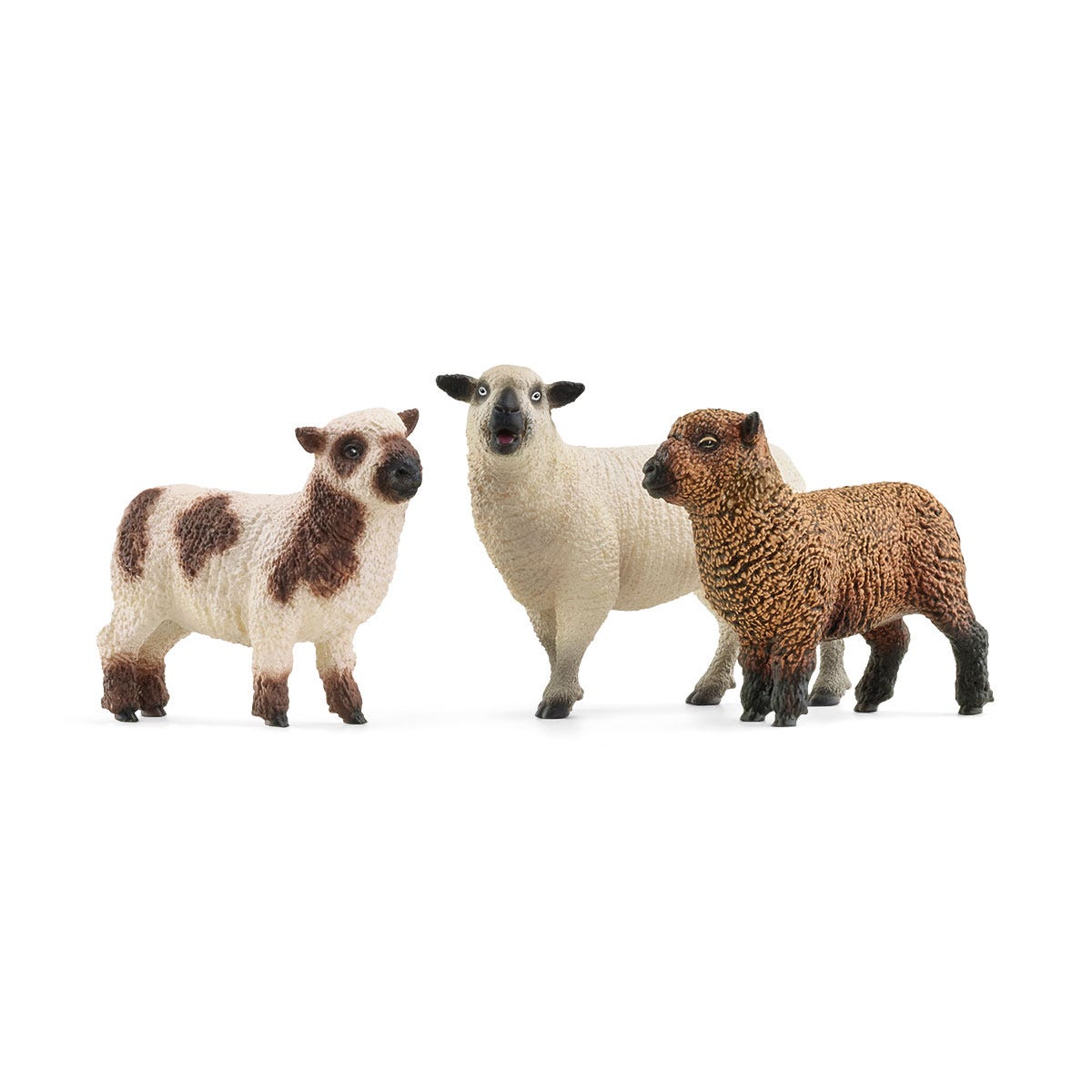 Schapenvriendjes
