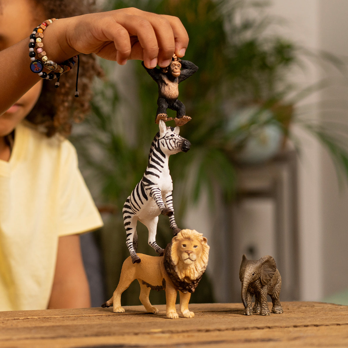 Set de iniciación África de Wild Life  