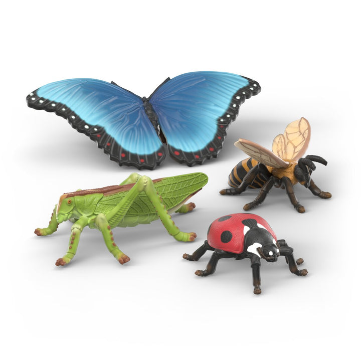 Insecten ontdekkingsset