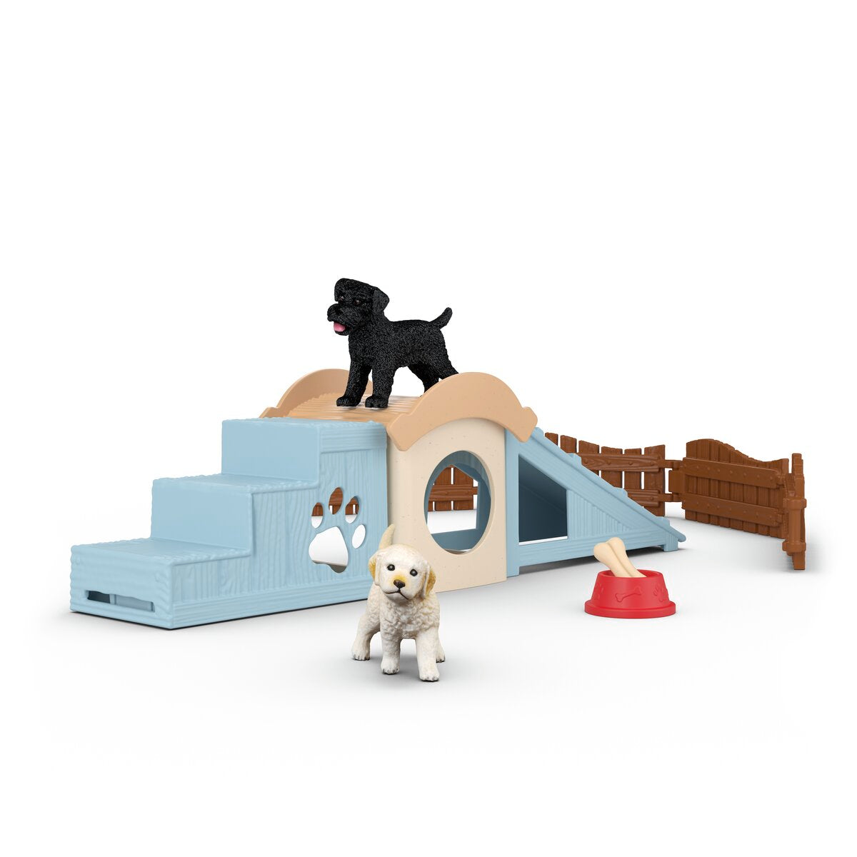 Avonturentijd voor puppy's