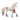 Licorne arc-en-ciel, mâle