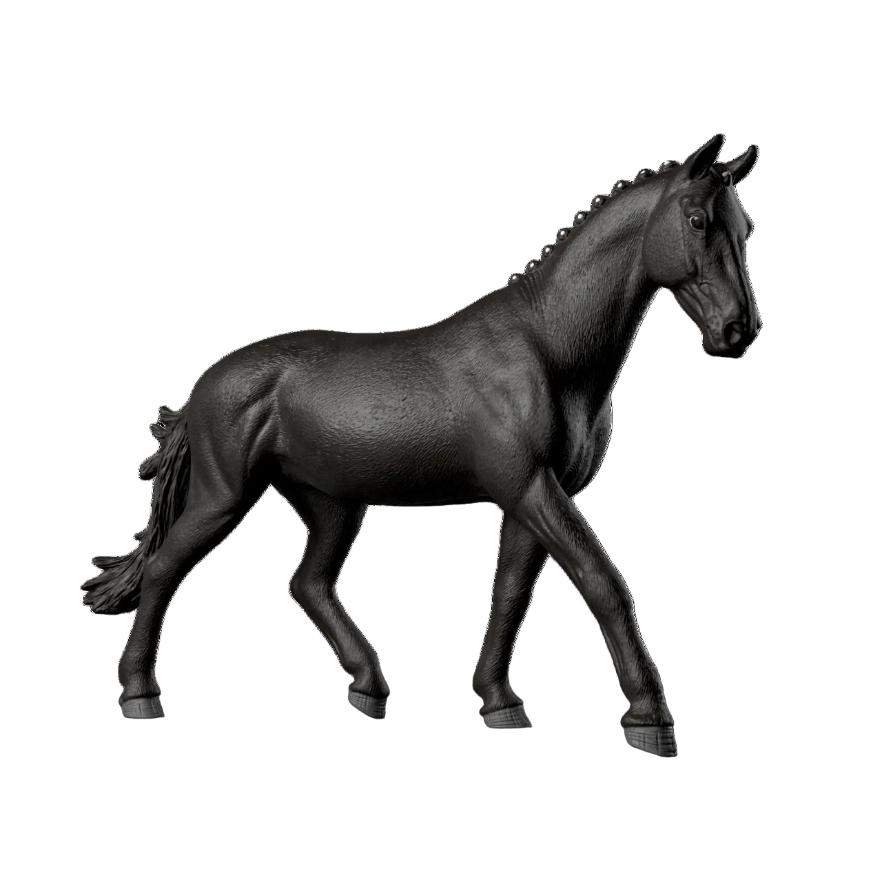 Sonata, Trakehner-merrie 1:12