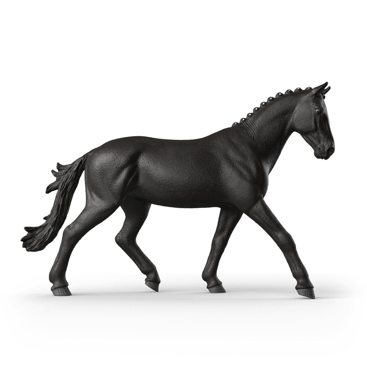 Sonata, Trakehner Mare 1:12