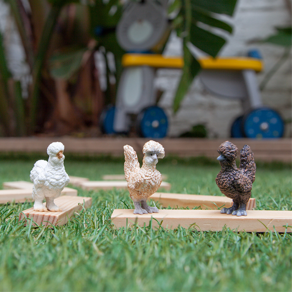Trio de poules